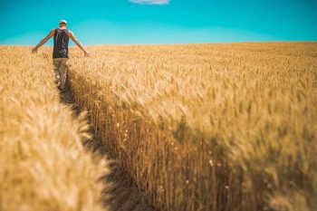Plusvalenza da cessione di immobili e terreni per le persone fisiche ... Tasse da pagare per vendita immobile
