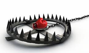 trappola con frutto rosso