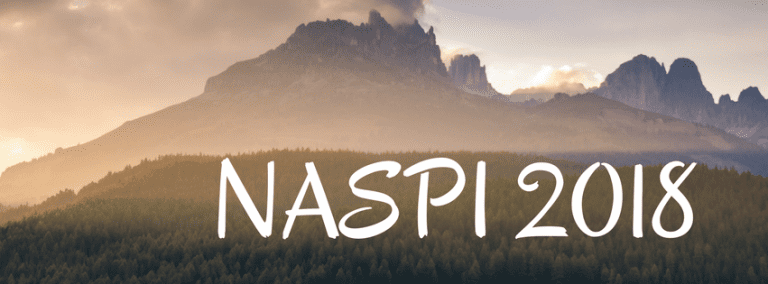 NASPI 2018
