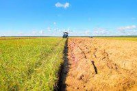 affitto terreni agricoli reddito tassazione