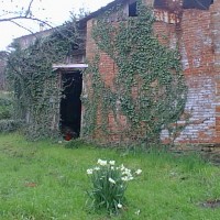 terreno in campagna