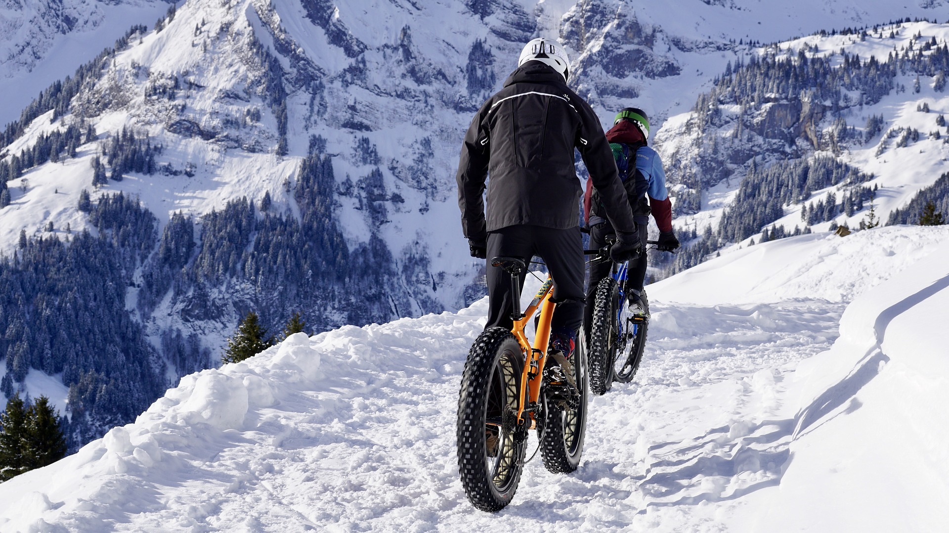 Incentivi 2021 Acquisto Monopattino Elettrico Bici Elettriche E-bike: Come  funziona il nuovo Bonus