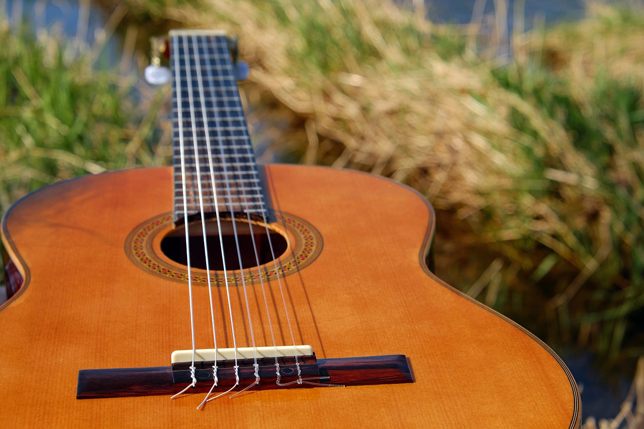 strumento musicale: chitarra